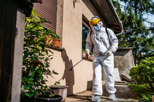 Pest Prevention Services in Moundville, AL